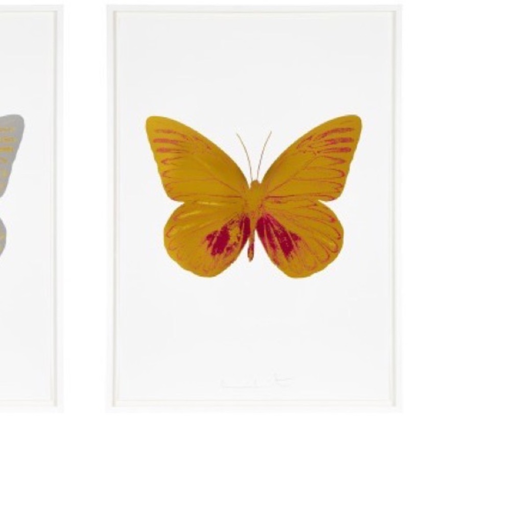 Meet your Posher, Butterflyyy